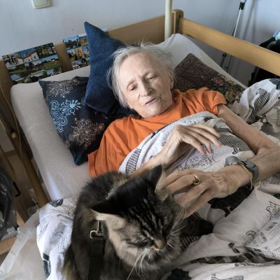 Amatérská felinoterapie (druhá návštěva)