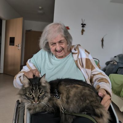 Amatérská felinoterapie