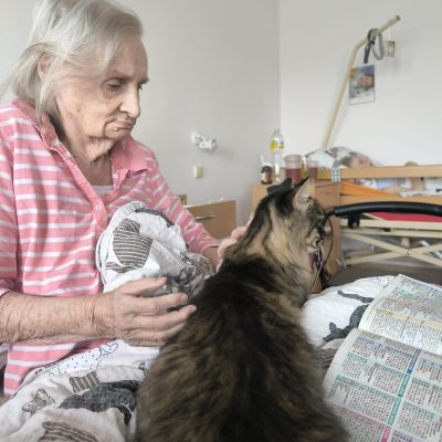 Amatérská felinoterapie