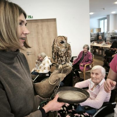 Návštěva sov ze záchranné stanice Panthea 