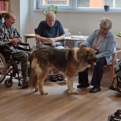 Setkání se zvířaty (1. část)