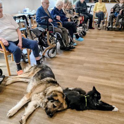 Setkání se zvířaty (1. část)