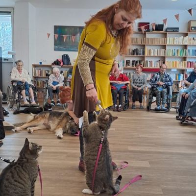 Setkání se zvířaty (2. část)