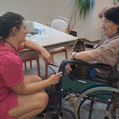 Setkání se zvířaty (2. část)